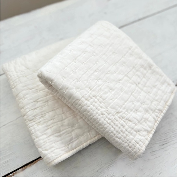 2 Pottery Barn Cotton & Silk Cross Stitch Standard Shams Ivory Cream White Pick - Picture 7 of 9